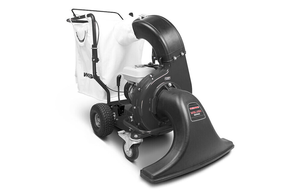 Aspirafoglie professionale Weibang