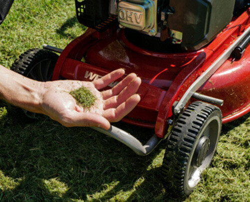 Thumb thumb copertina articolo come funziona il mulching