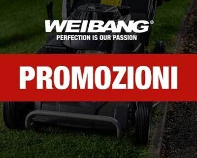 Promozioni Weibang